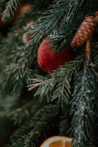 sapin-noel-jeter-ecologique-recycler